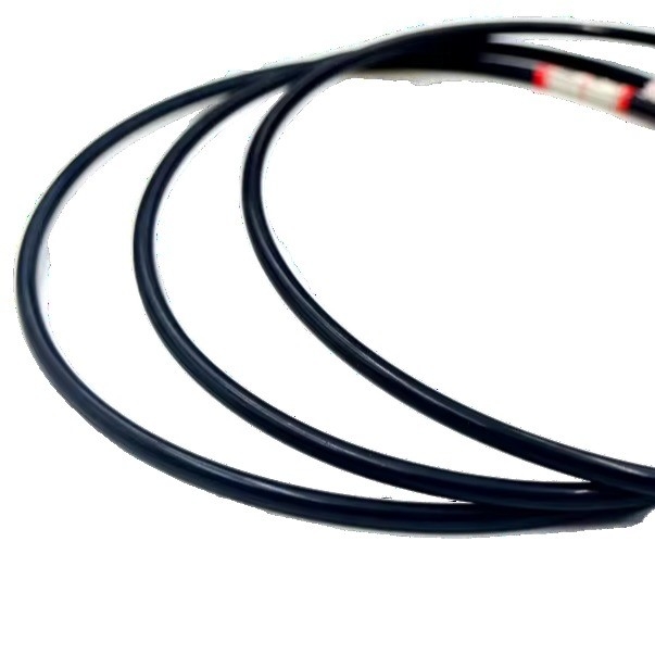 30-90 الشاطئ A EPDM/NBR/FKM/Silicone Colored Big Fluoro O-Ring Seal لضاغط الهواء